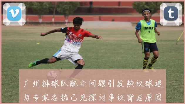 广州排球队配合问题引发热议球迷与专家各执己见探讨争议背后原因MBA