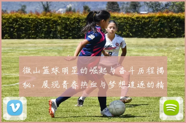 微山篮球明星的崛起与奋斗历程揭秘，展现青春热血与梦想追逐的精彩故事