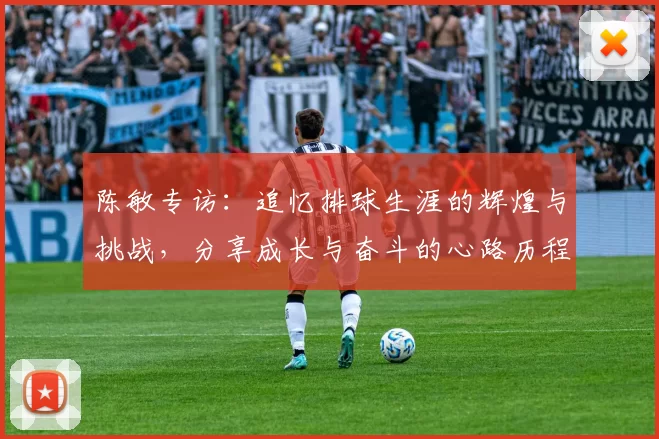 陈敏专访：追忆排球生涯的辉煌与挑战，分享成长与奋斗的心路历程MBA