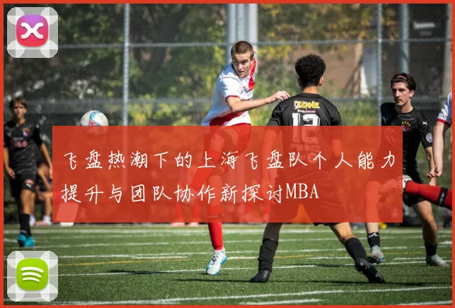 飞盘热潮下的上海飞盘队个人能力提升与团队协作新探讨MBA